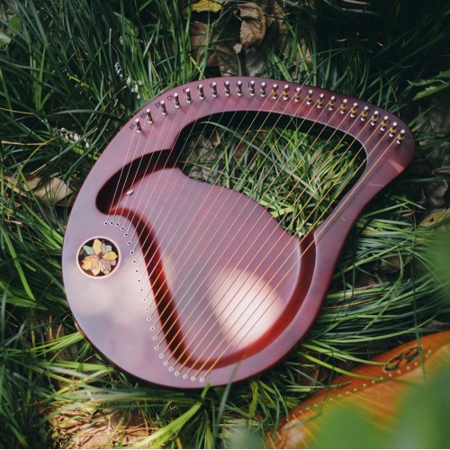 21/24 String Lyre Harp Portable Wood Harp Easy-to-Learn String Musical Instrument Gift for Kids Adults Beginner & the Professional